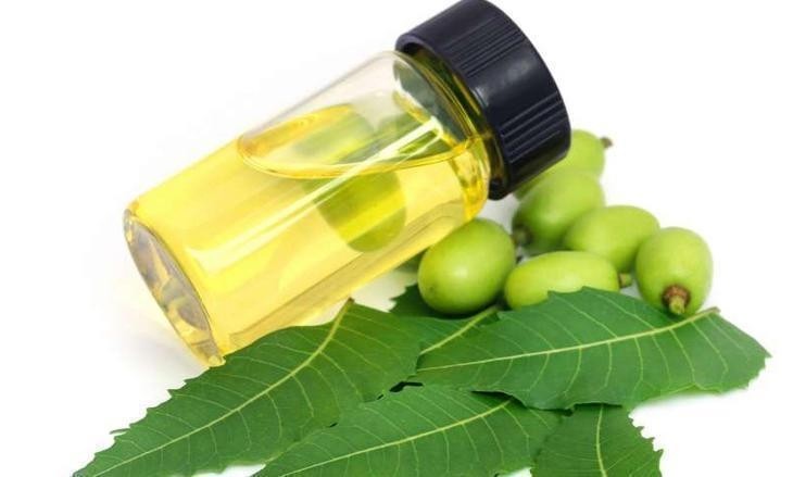 ÓLEO VEGETAL DE NEEM 100 ML