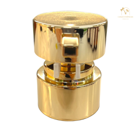 VÁLVULA PUMP SUPER LUXO 28/410 DOURADA