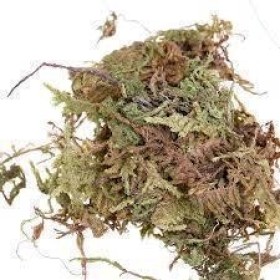 MUSGO DESIDRATADO CLARA