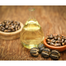 ÓLEO VEGETAL DE RÍCINO 100 ML