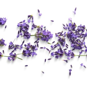 LAVANDA IMPORTADA 15G