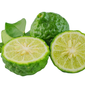 ESSÊNCIA BERGAMOTA SPICY 100ML(VOLLMENS)