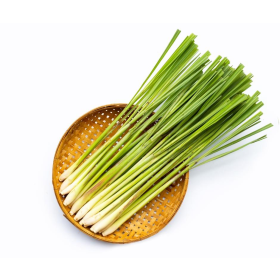 ESSÊNCIA CAPIM LIMÃO 100ML(L`ESSENCE)