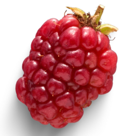 ESSÊNCIA AMORA 100ML(ISAN)