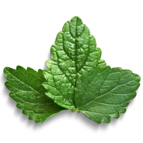 ESSÊNCIA BÁLSAMO 100ML(FRANSFLOR)