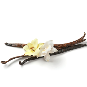 ESSÊNCIA BAUNILHA 100ML(ISAN)