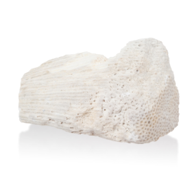 ESSÊNCIA CÂNFORA 100ML(ISAN)