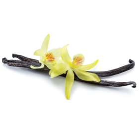 ESSÊNCIA VANILLA 100ML(ROYALE)