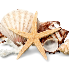 ESSÊNCIA ATLANTIS 100ML(ISAN)