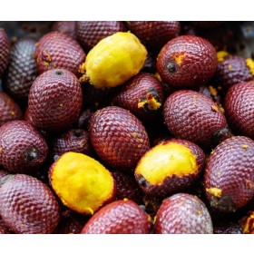 ESSÊNCIA BURITI 100ML(QUIMIHOUSE)