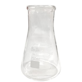 VIDRO ERLENMEYER 250ML