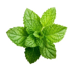 ESSÊNCIA HORTELÃ 100ML(FRANSFLOR)