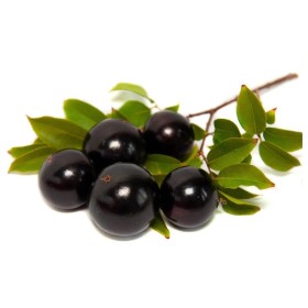 ESSÊNCIA JABUTICABA 100ML(ISAN)