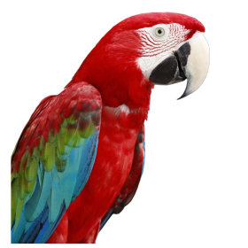 ESSÊNCIA PRIPRIOCA 100ML(QUIMIHOUSE)