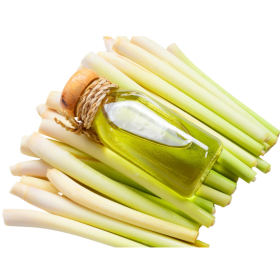 ESSÊNCIA CIDREIRA 100ML(ISAN)