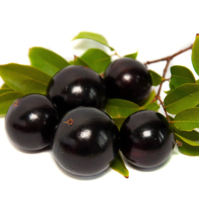 ESSÊNCIA JABUTICABA COM AÇAÍ 100ML(ISAN)