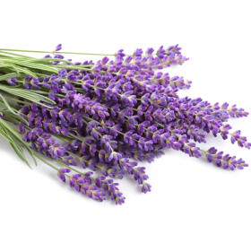 ESSÊNCIA LAVANDA PROVENCE 100ML(ISAN)