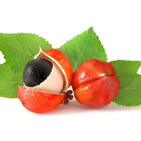 ESSÊNCIA FLOR DE GUARANÁ 100ML(QUORUM)