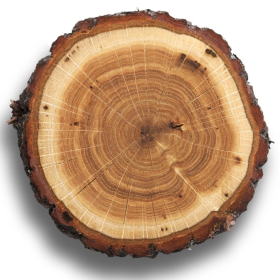 ESSÊNCIA MADEIRAS NOBRES 100ML(QUORUM)