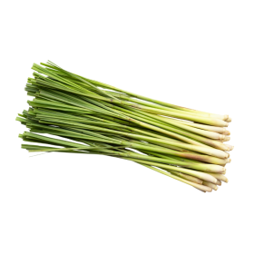 ESSÊNCIA CITRONELA 100ML(ROYALE)