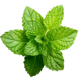 ESSÊNCIA MENTA 100ML (FRANSFLOR)