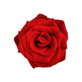 ESSÊNCIA ROSA VERMELHA 100ML(ISAN)