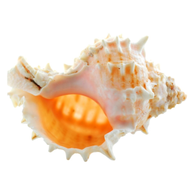 ESSÊNCIA OCEAN BREEZE 100ML(FRANSFLOR)