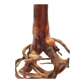 ESSÊNCIA PAU BRASIL 100ML(FRANSFLOR)