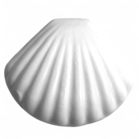 SABONETE CONCHA BRANCA