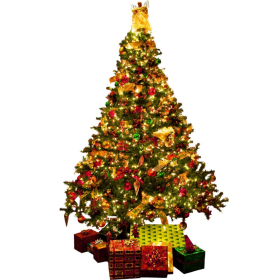 ESSÊNCIA PINHEIRO DE NATAL 100ML (ROYALE)