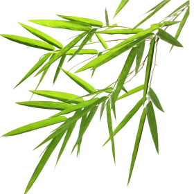 ESSÊNCIA BROTO DE BAMBU 100ML (ROYALE)