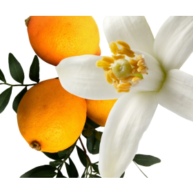ESSÊNCIA LIMÃO E FLORES BRANCAS 100ML (QUORUM)
