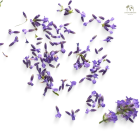 ESSÊNCIA LAVANDA 100ML (VOLLMENS)