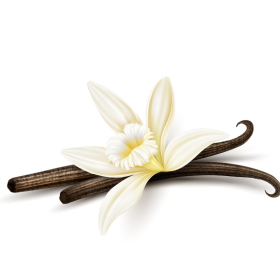 ESSÊNCIA VANILLA BLACK 100ML (ROYALE)