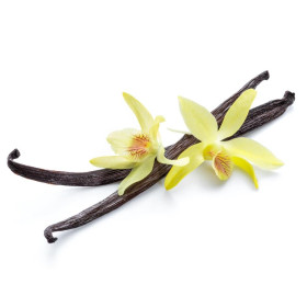 ESSÊNCIA VANILLA FASHION 100ML (ISAN)
