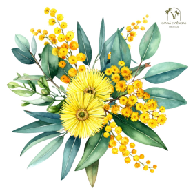 ESSÊNCIA ACÁCIA 100ML (FRANSFLOR)