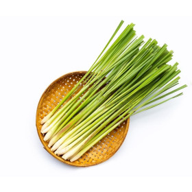 ÓLEO DE CITRONELA 100ML (QUIMIHOUSE)