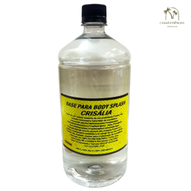 BASE PARA BODY SPLASH 1LT