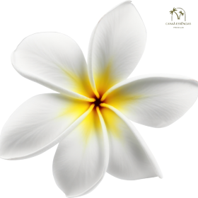 ESSÊNCIA JASMIM 100ML (QUIMIHOUSE)