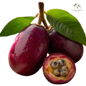 ESSÊNCIA JABUTICABA C/AÇAÍ 100ML (ISAN)